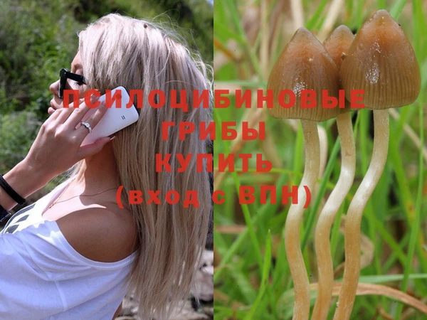 марки nbome Аркадак