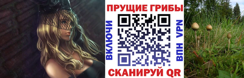 Псилоцибиновые грибы мухоморы мега ONION Мензелинск